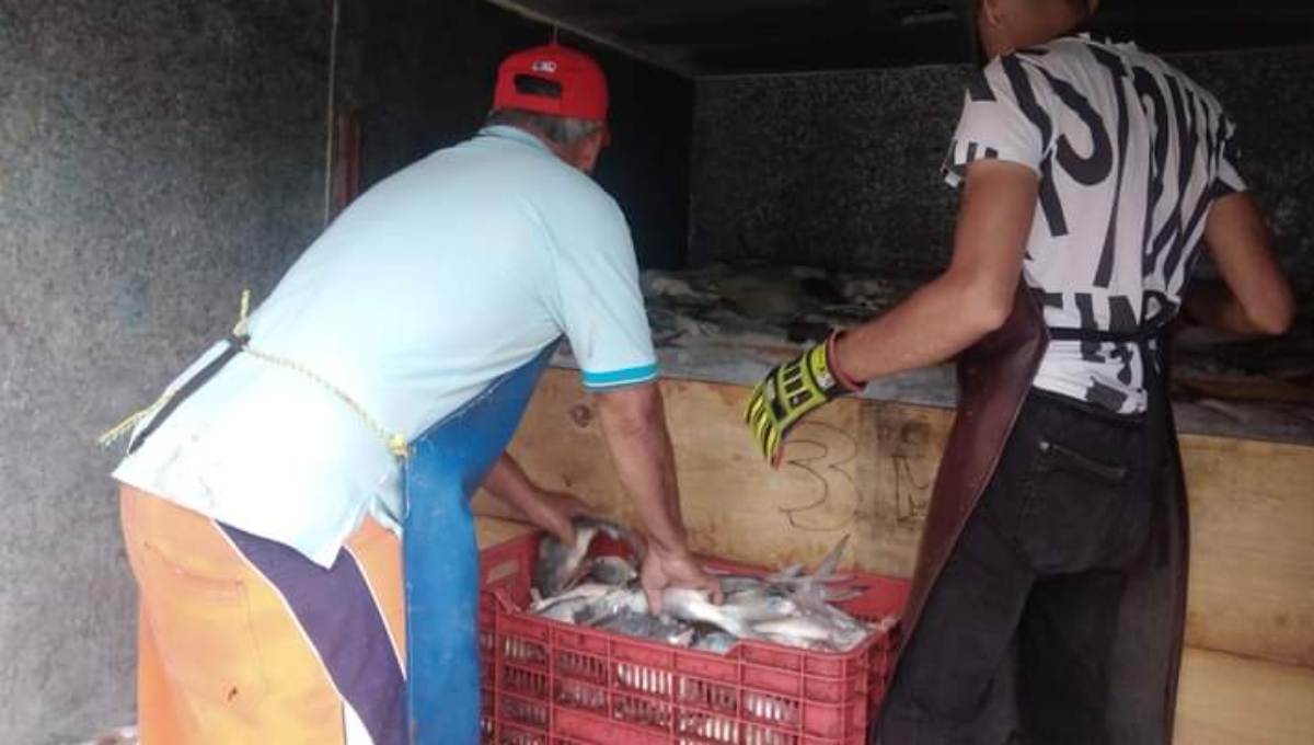 Pescadores de Sabancuy exigen solución al comercio ilegal