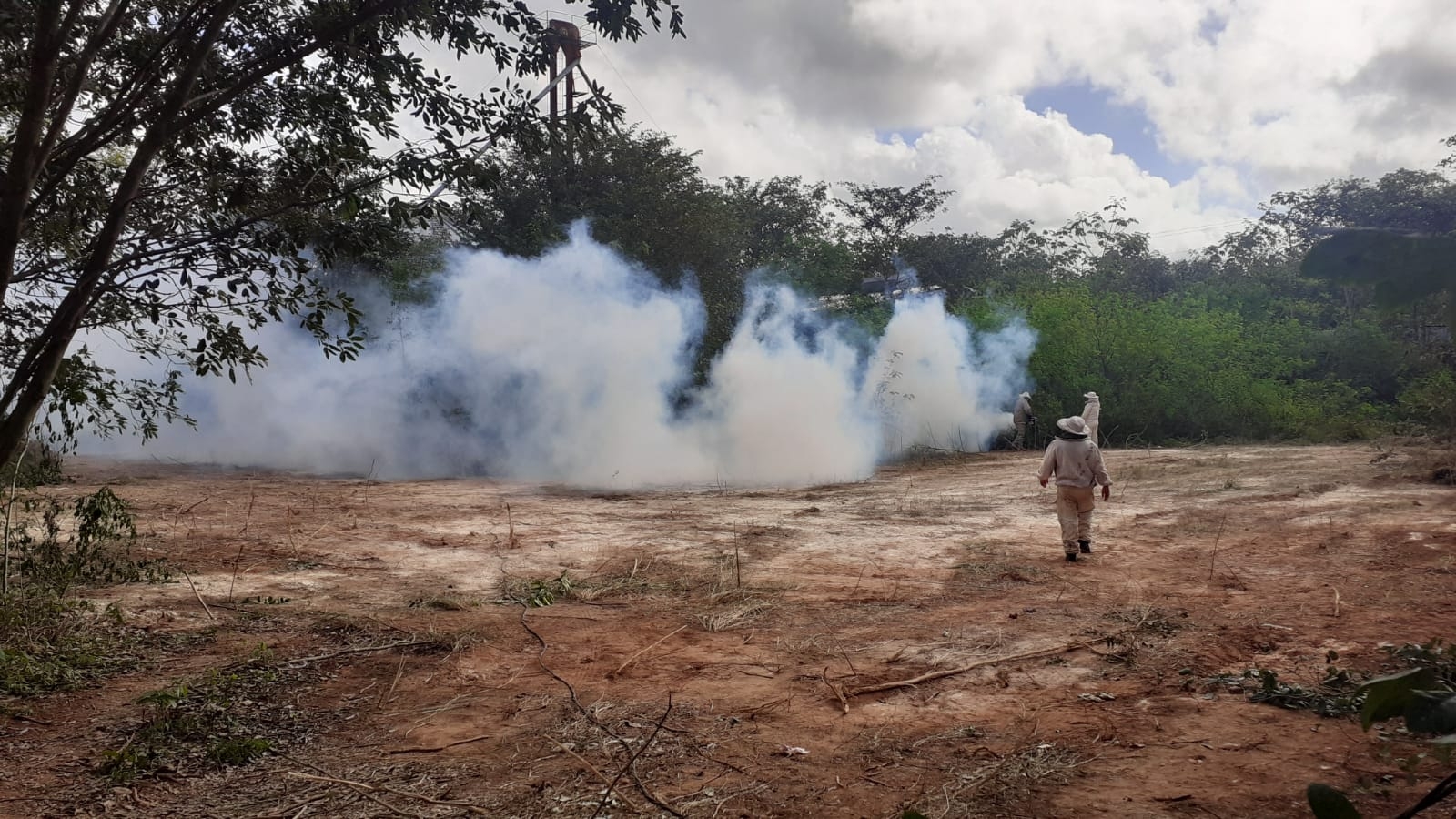 El reporte lo atendieron los Bomberos