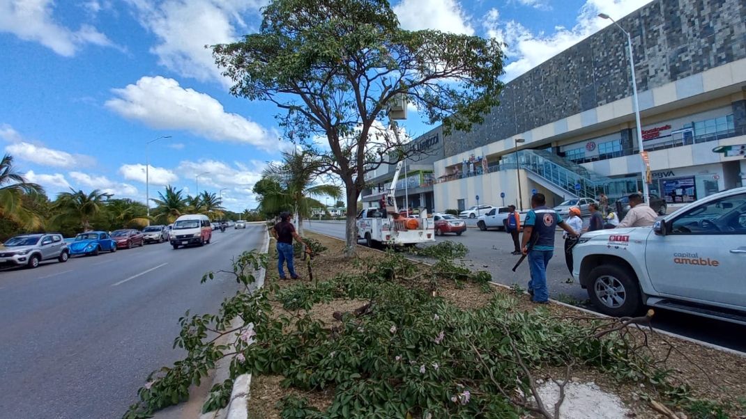 Previo al Carnaval de Campeche, Protección Civil supervisa postes de luz del malecón