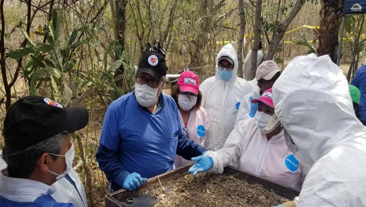 Miles de cuerpos han sido encontrados en Veracruz en los últimos años