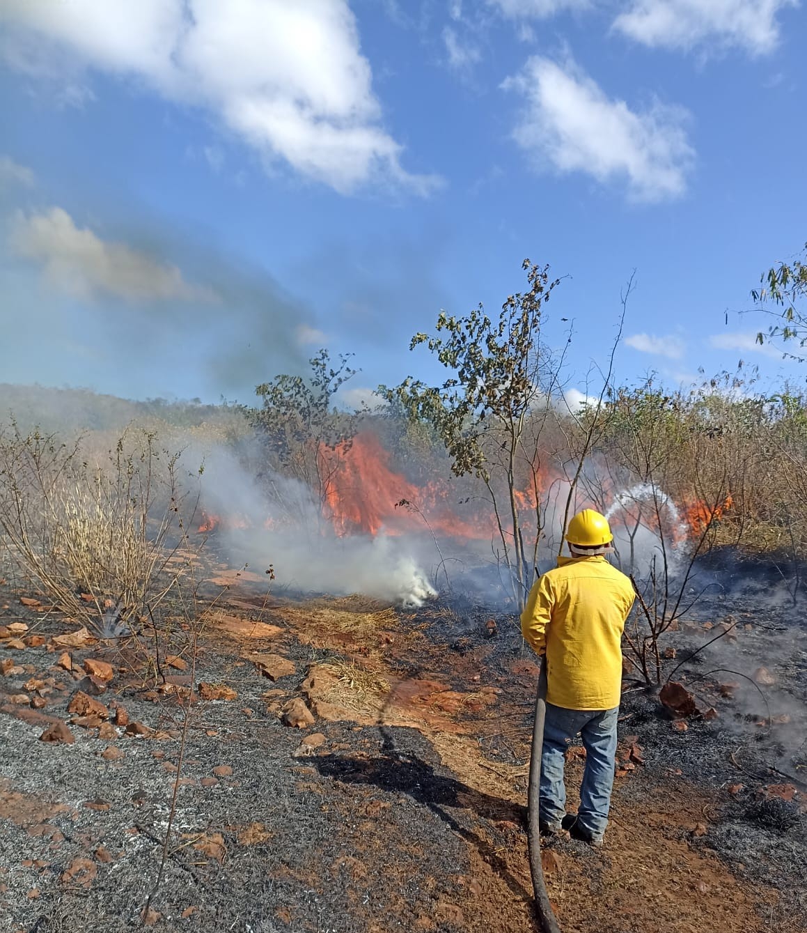 En Tekax se registró el segundo incendio forestal en Yucatán que arrasó con 10 hectáreas de monte