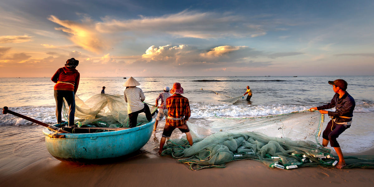 Los pescadores son pieza clave en la economía del país, además de ser el sustento de millones de familias. Foto: Especial