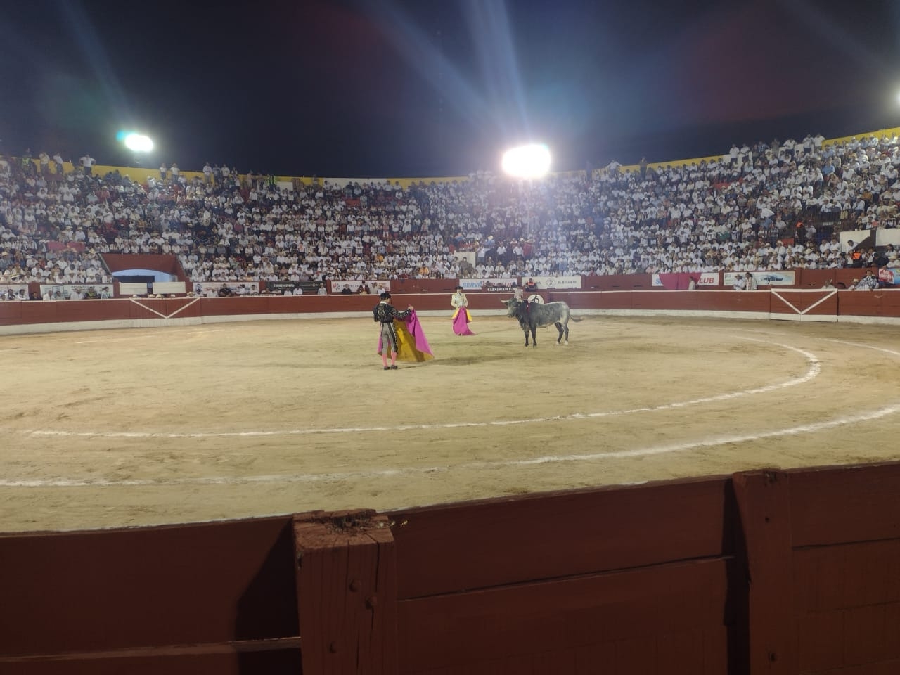 Tarde de orejas en la 'Corrida Blanca' en la Plaza de Toros de Mérida: EN VIVO