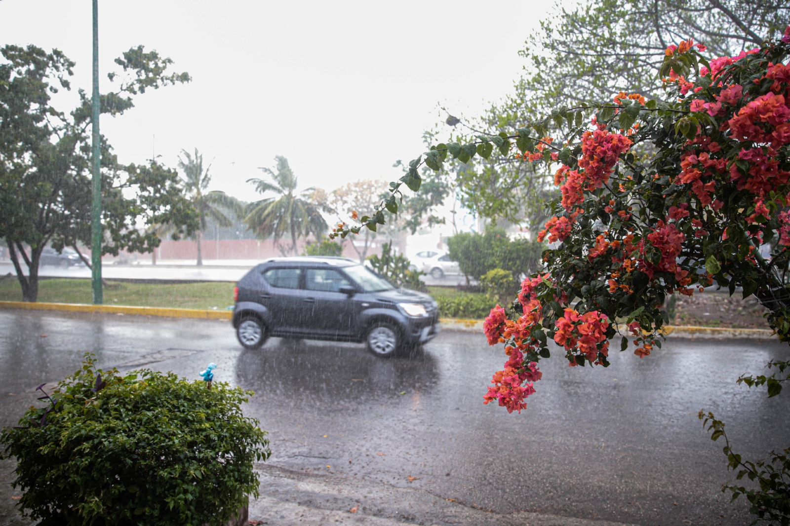 Se prevé una temperatura máxima de 30 a 32 °C