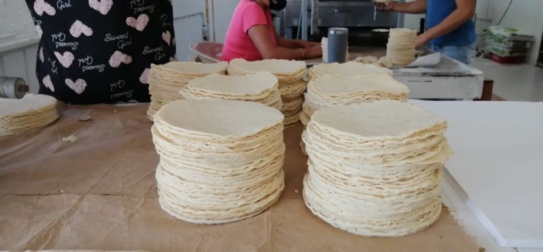 El precio de la tortilla se mantendrá en 21 pesos el kilo en Sabancuy