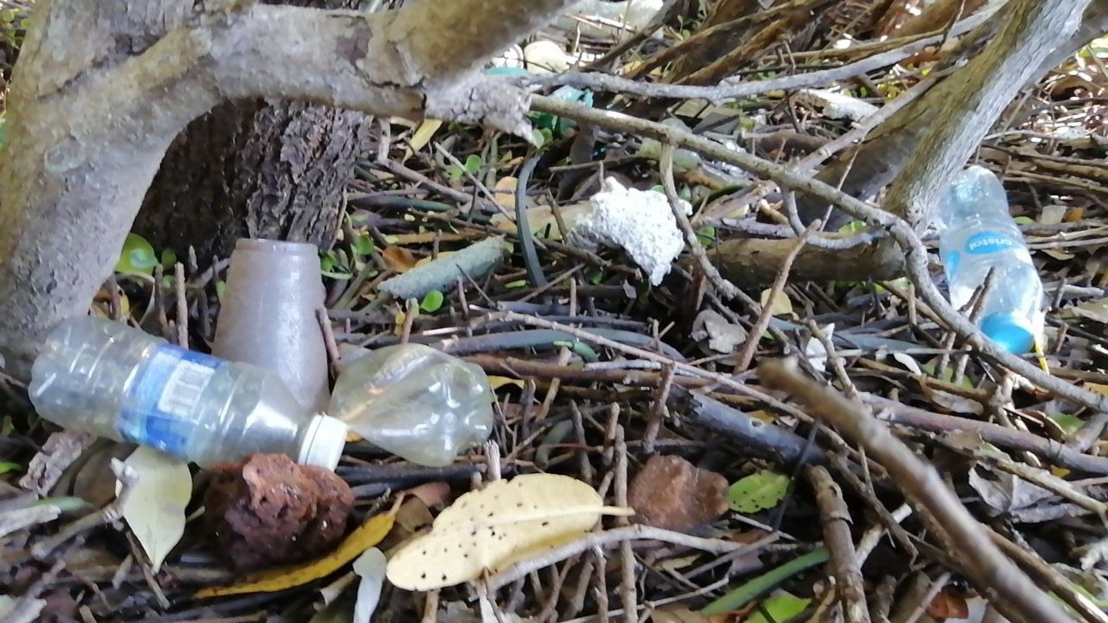 Isla Mujeres: Denuncian a concesionarios en laguna Makax de arrojar basura al agua