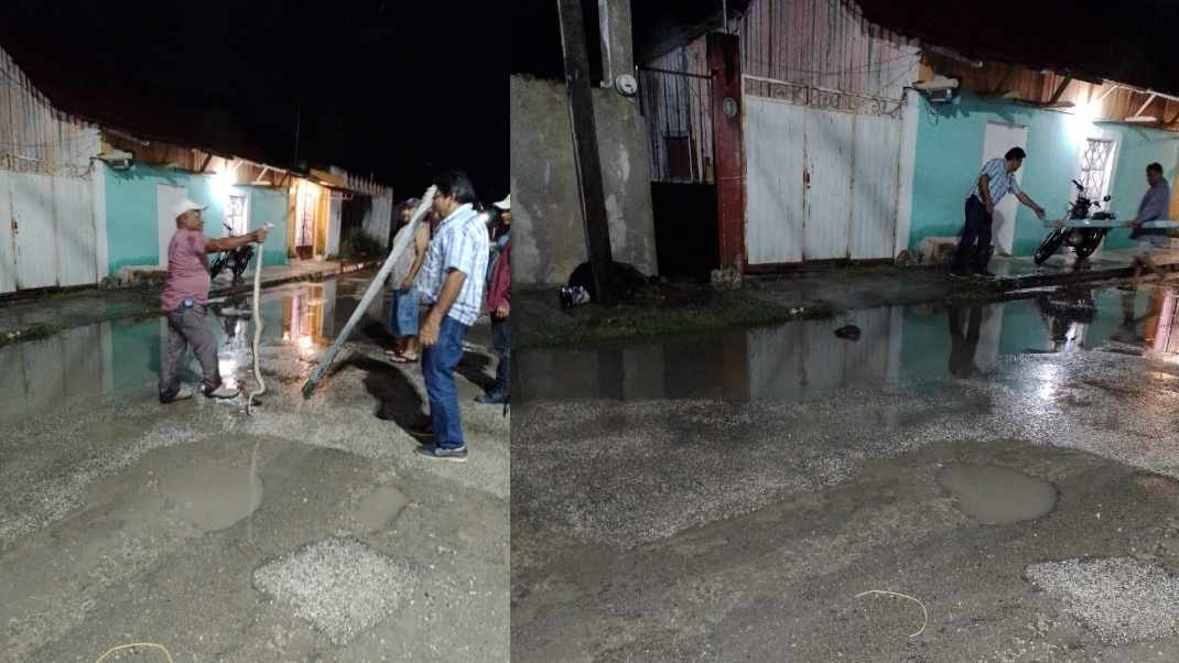 La culebra fue capturada y llevada a fuera de la ciudad