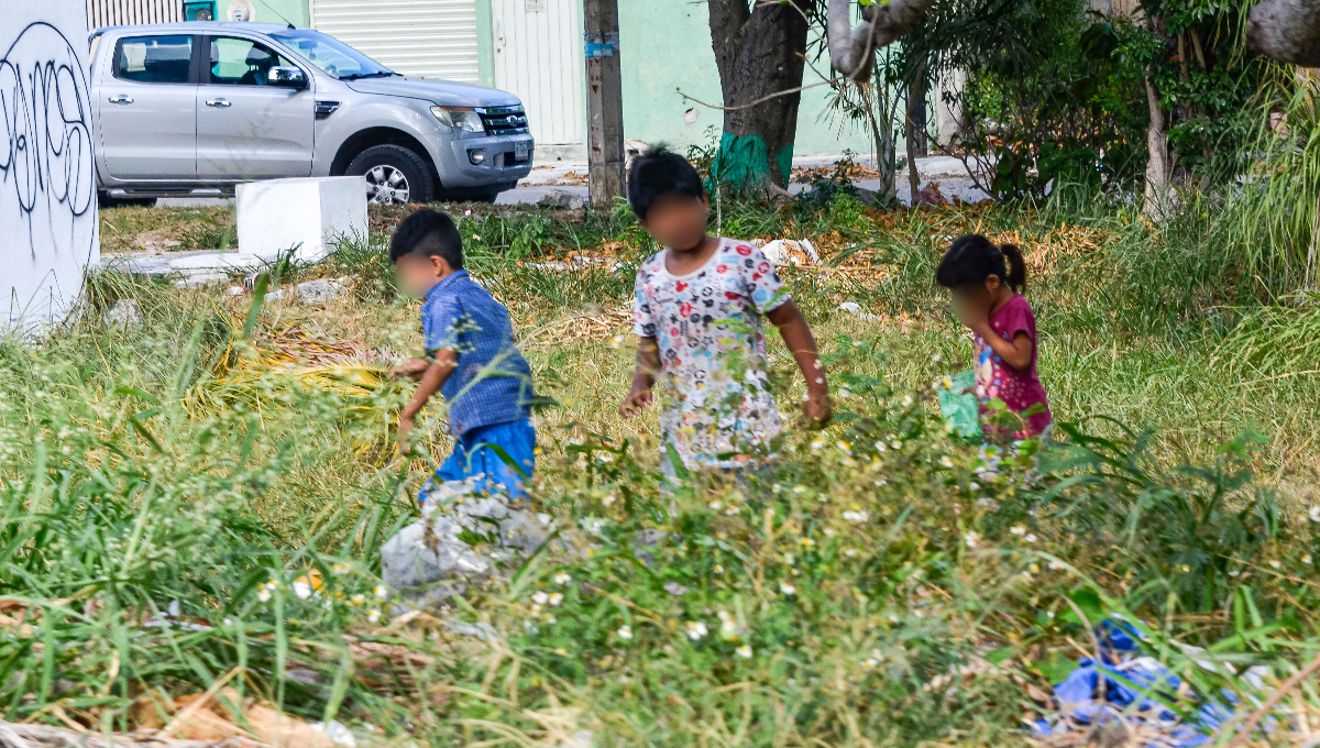 Violencia contra menores en Quintana Roo: Suman 654 casos de enero a agosto