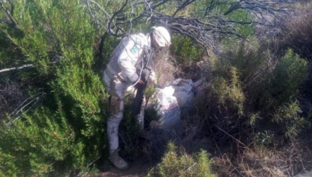 Personal del Ejército Mexicano realizó el aseguramiento de 250 kilos de probable metanfetamina