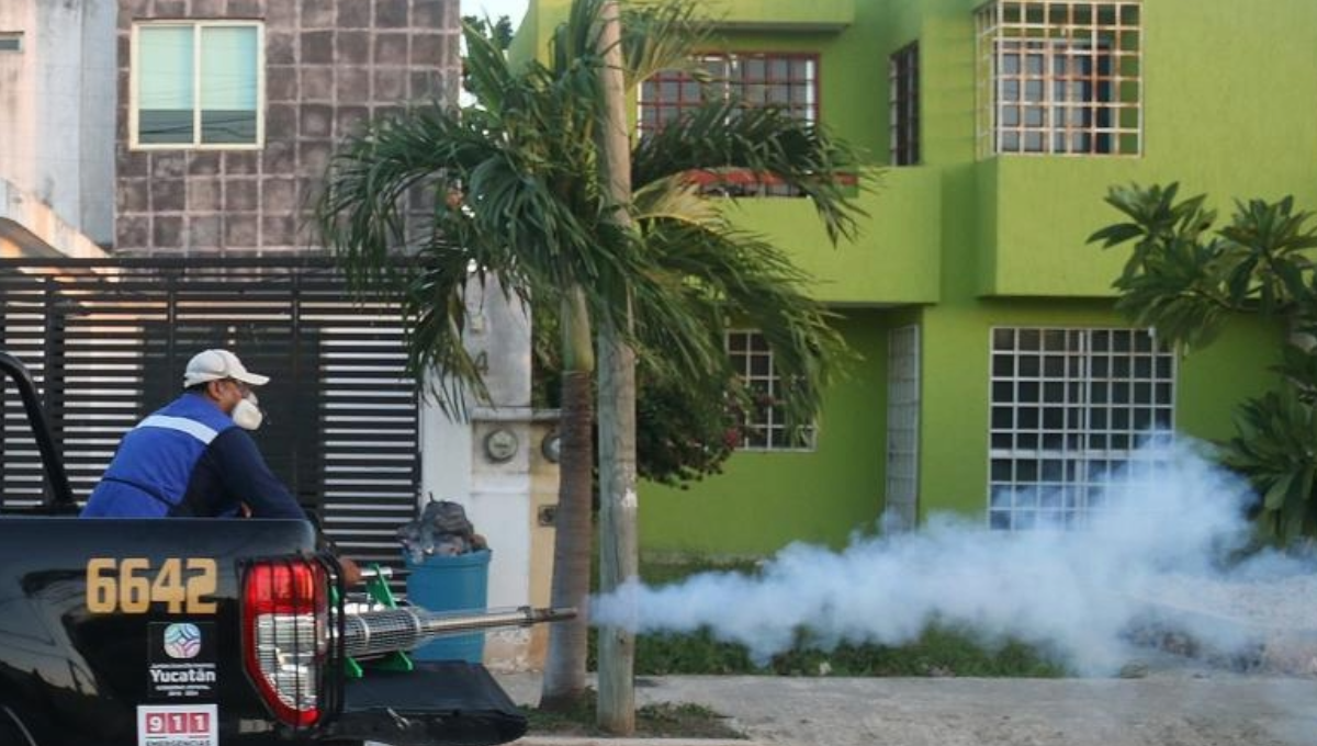 Casos de dengue en trabajadores causan pérdidas en empresas de Yucatán: Canaco