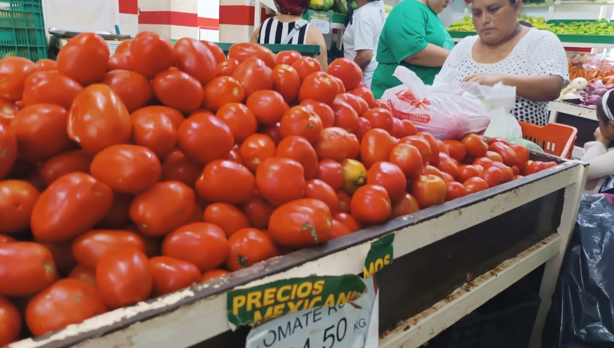 Precio del limón en Tizimín alcanza los 29 pesos el kilo