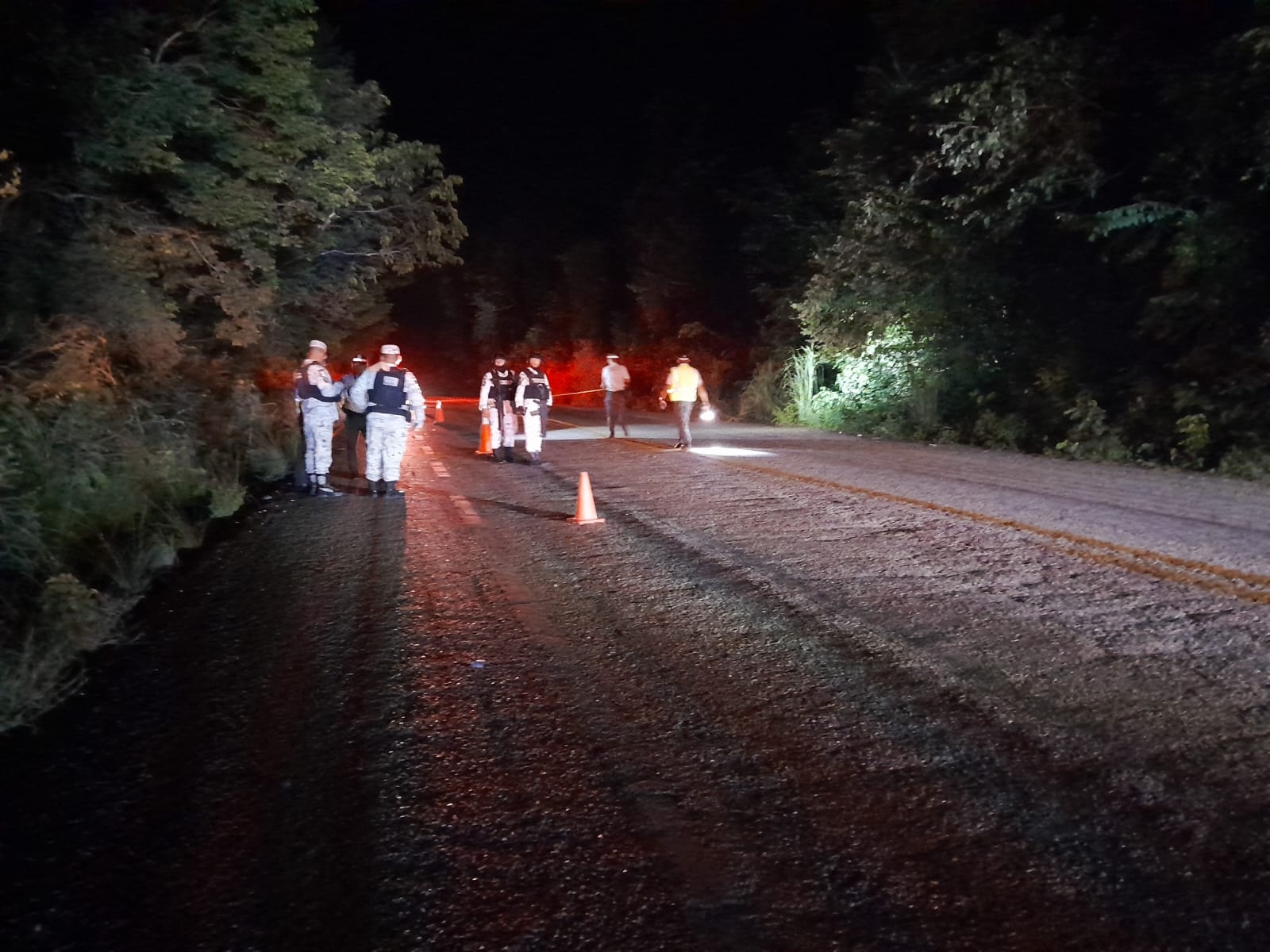 Patrulla de la Guardia Nacional choca contra una vaca en Escárcega