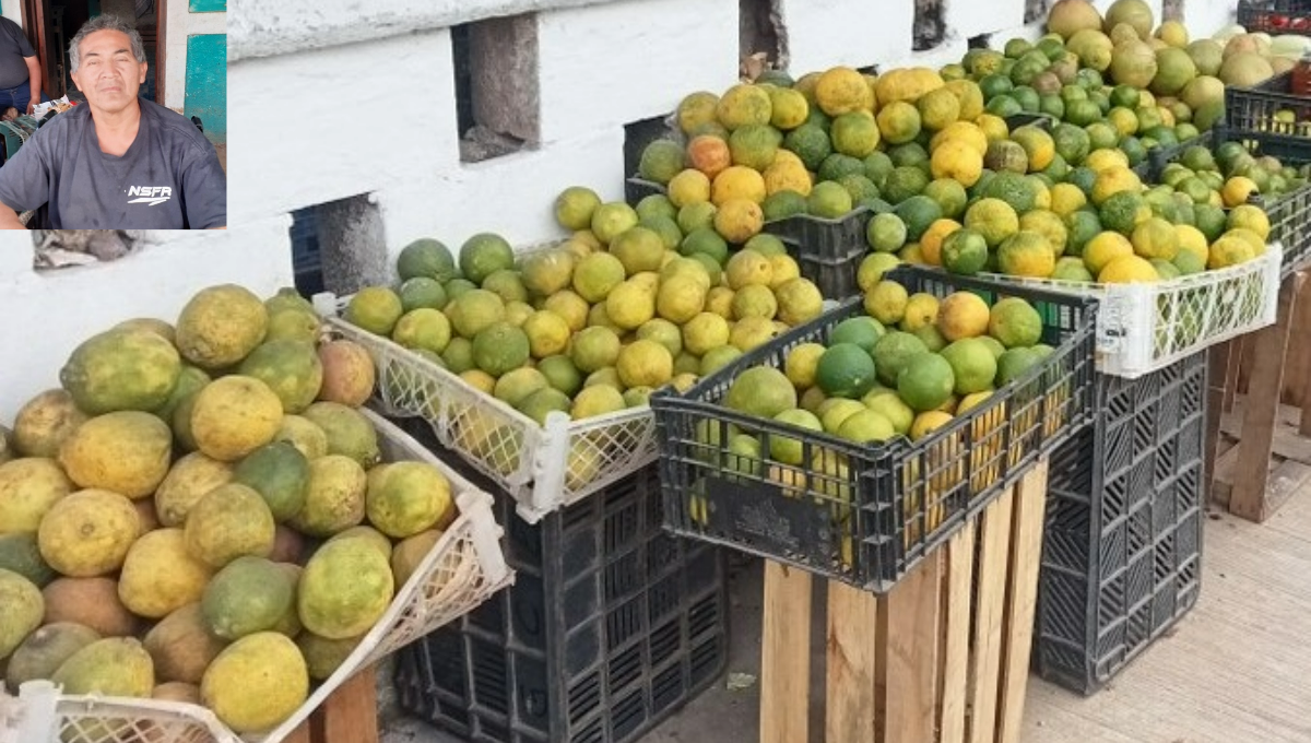 Inicia la cosecha de naranja dulce y mandarina en José María Morelos