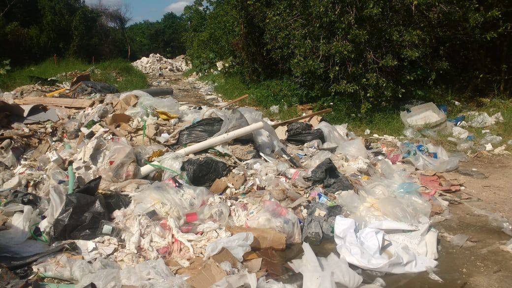 Con esta acción, la número 44 desde el 2012, se alcanza la cifra de 20 toneladas recolectadas en playas y manglares