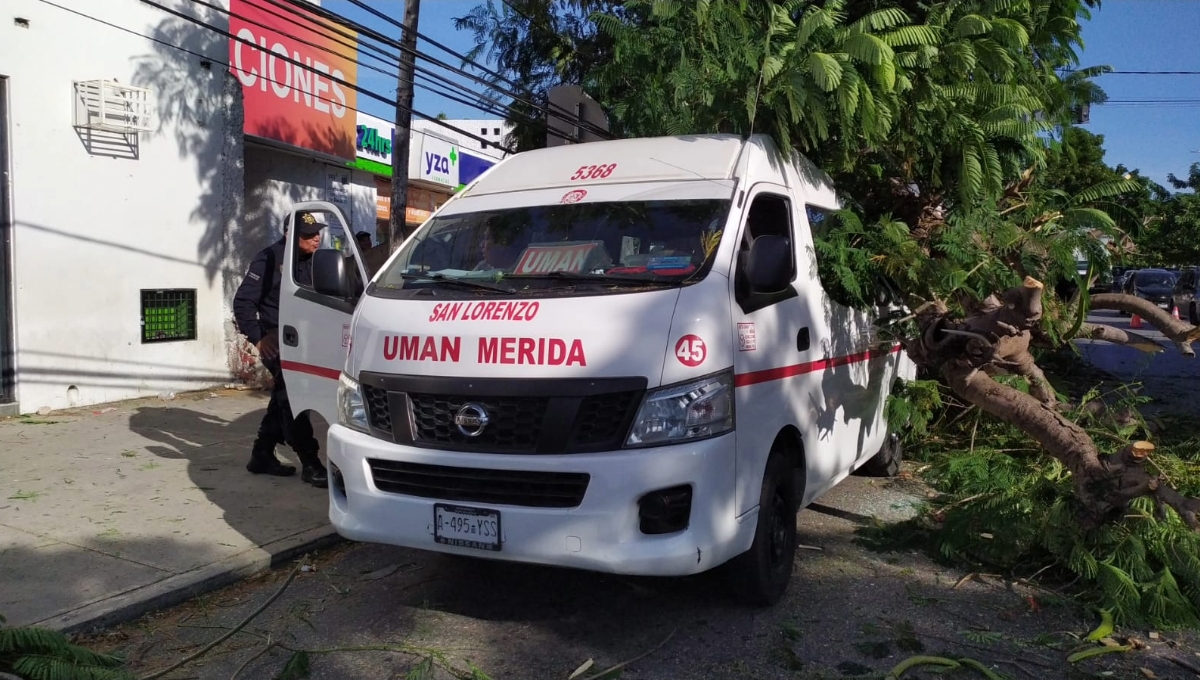 No se necesitó traslado al hospital de algún pasajero