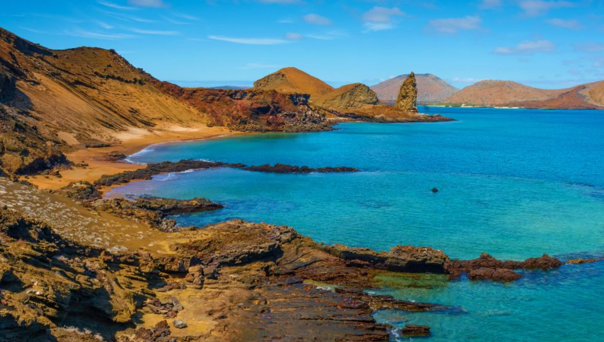 El descubrimiento fue en la Isla Galápagos en Ecuador. Foto: Especial