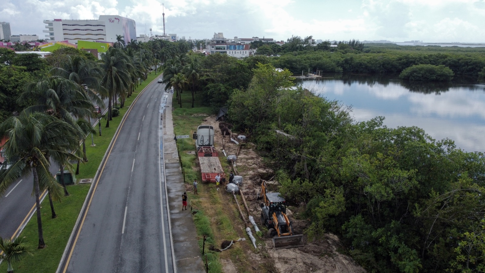 Devastan manglar en la Zona Hotelera de Cancún a pesar de ser ilegal