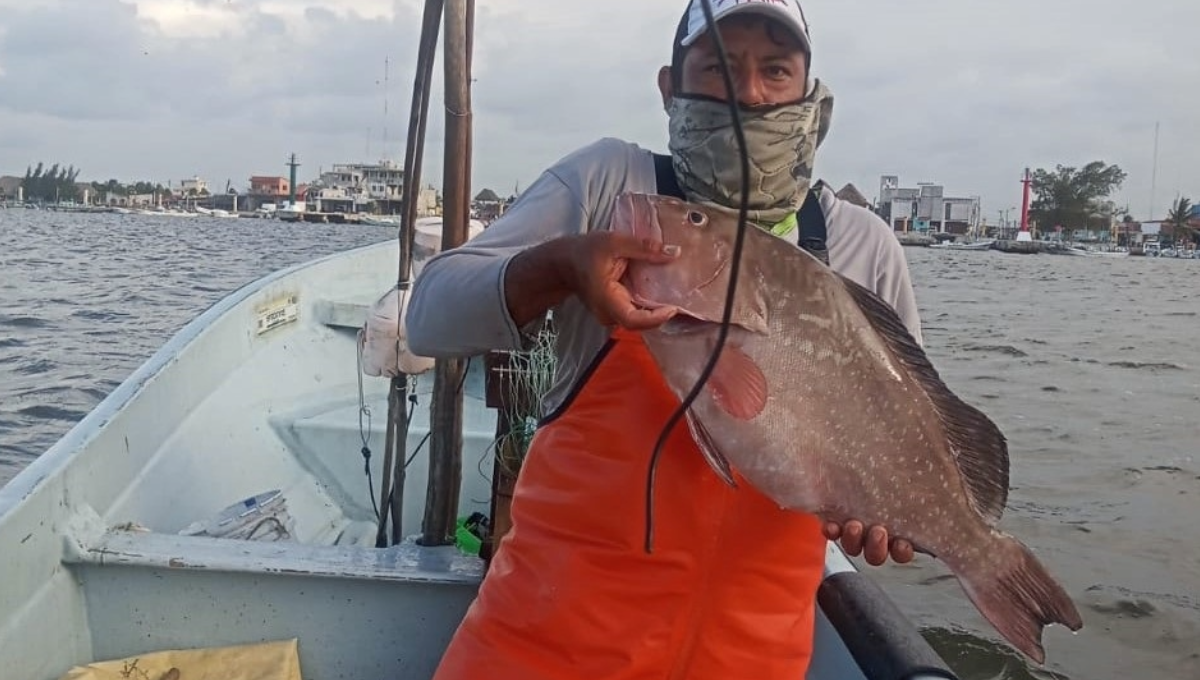 Futuro de la pesca en la Biosfera de Ría Lagartos se vuelve incierto: Especialistas