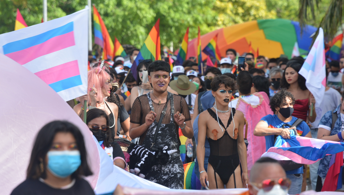 Los colectivos pidieron que se incluya su opinión