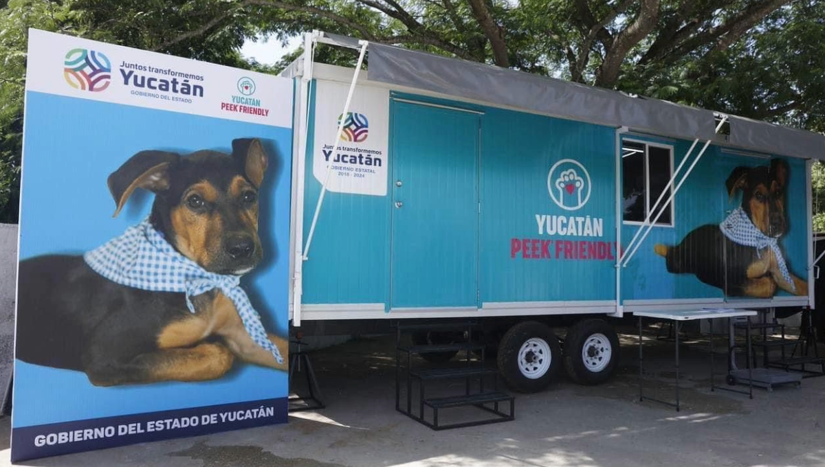 Antes era menos visible la cultura de la tenencia responsable y eran pocos los que esterilizaban a sus mascotas