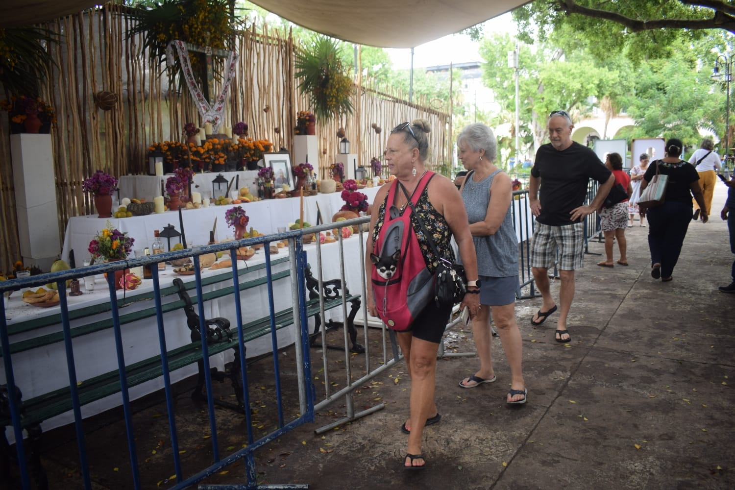 Altar de Hanal Pixán en la Plaza Grande atrae a turistas internacionales: EN VIVO
