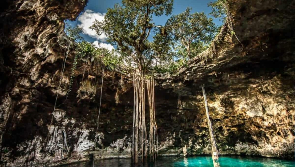 En la expo se busca crear conciencia sobre la importancia de los cenotes