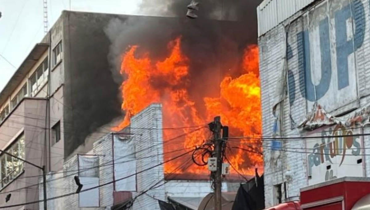 Incendio en Tepito: Rescatistas salvan la vida de un ‘mixi’ que sobrevivió al incidente