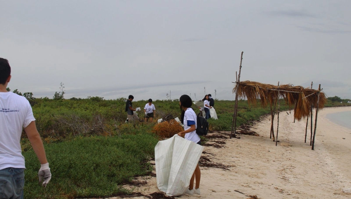 Las acciones fueron encabezadas por la Secretaría de Desarrollo Sustentable de Yucatán