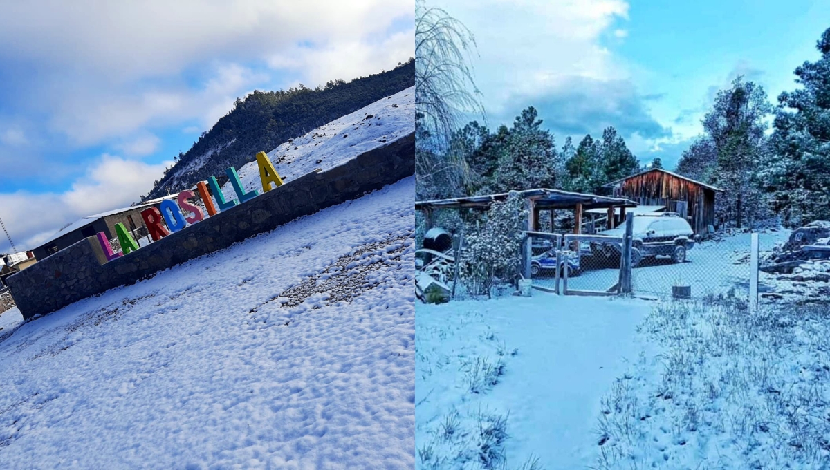 ¡Durango se congela! Presenta caída de nieve y temperaturas bajo cero