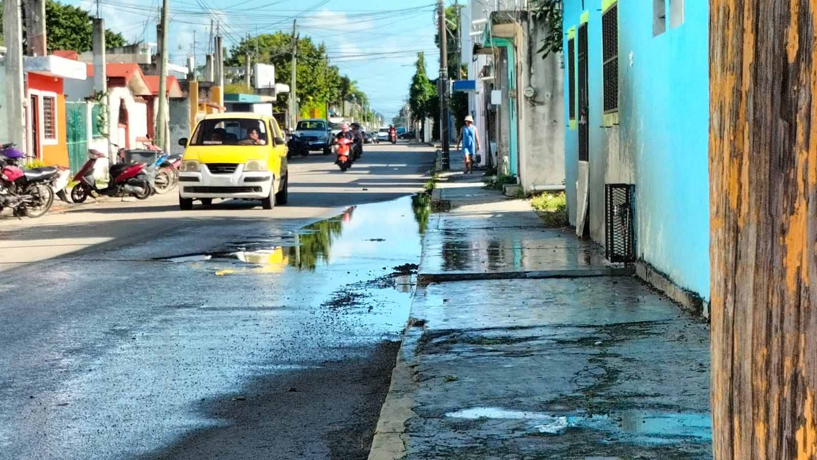 Afectados indican que desde que surgió el problema lo han reportado y ninguna autoridad responde; acusan que ya comienzan a padecer problemas de salud.