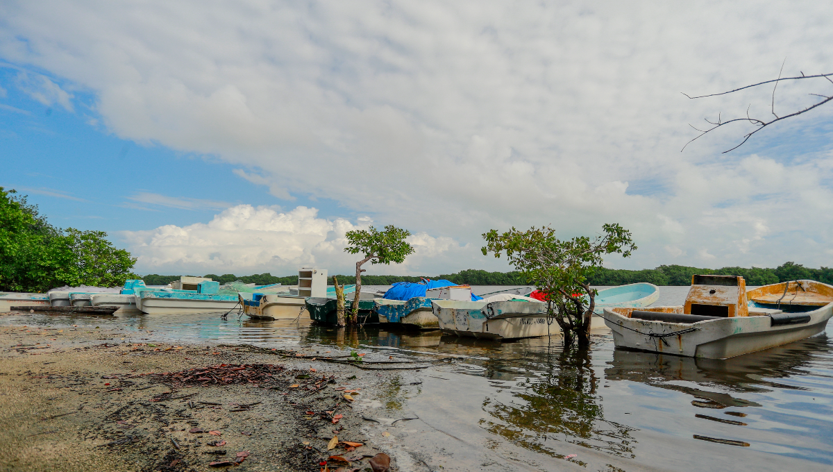 Pescadores de Isla Mujeres enfrentan 'mala racha' por lluvias