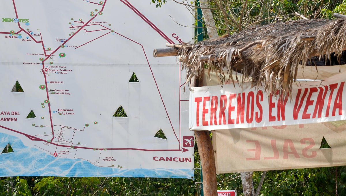 Venta de terrenos y proyectos inmobiliarios en Leona Vicario podrían devastar cenotes y selvas