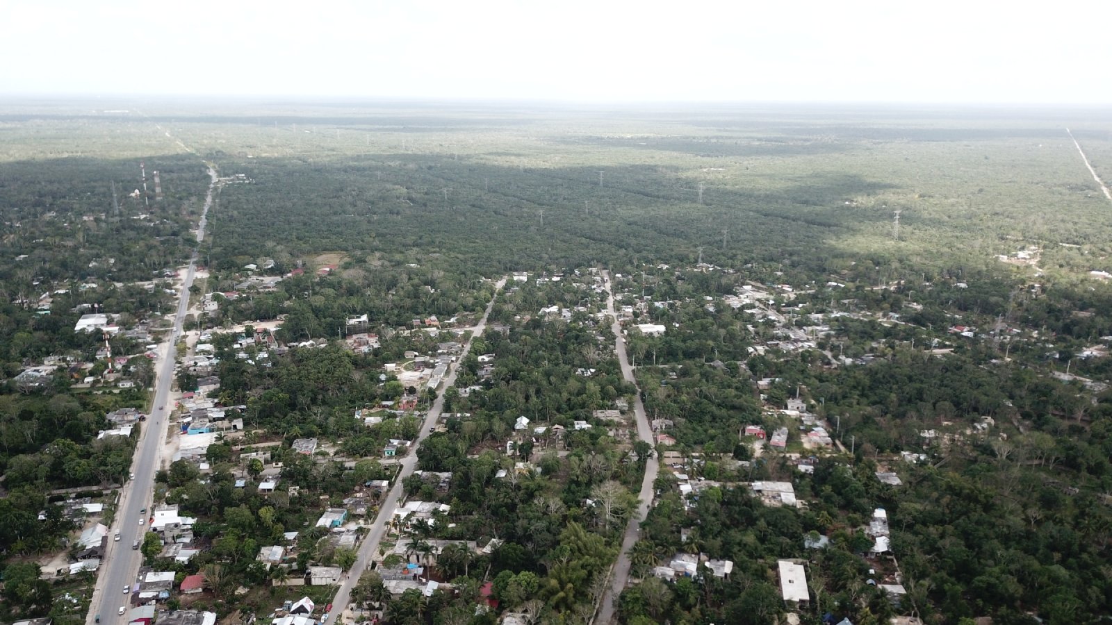 En Leona Vicario, Quintana Roo, buscan legalizar la devastación ambiental