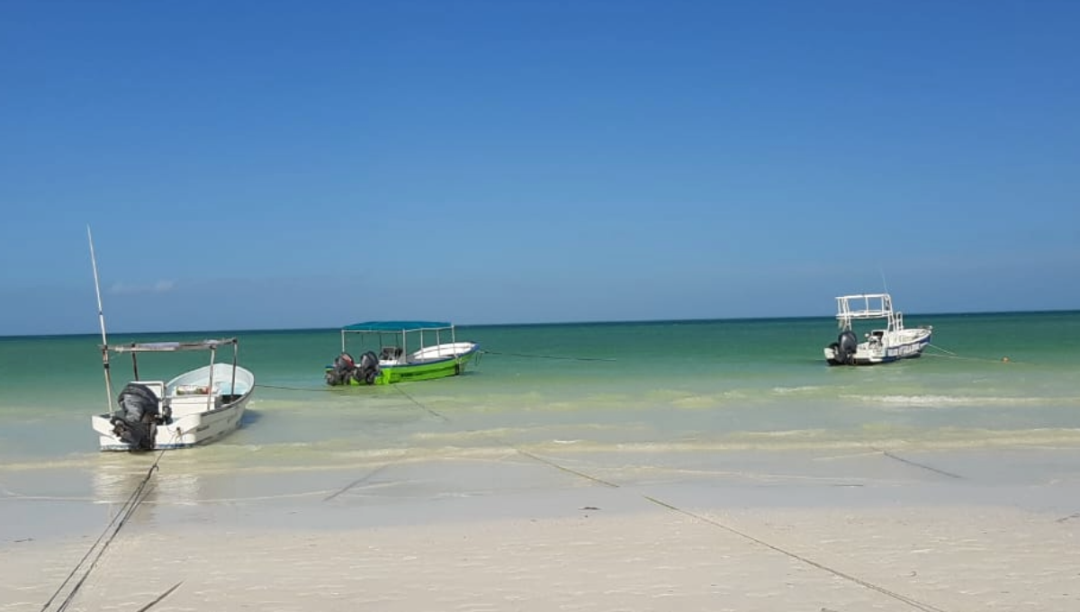 Suspenden tours de bioluminiscencia en Holbox