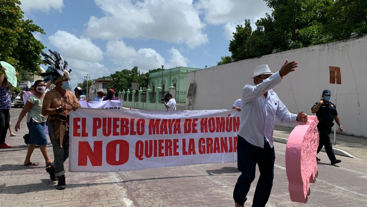 Activistas afirmaron que ninguna las 500 megagranjas de Kekén, que hay en Yucatán, cumple con la Ley Nacional de Agua