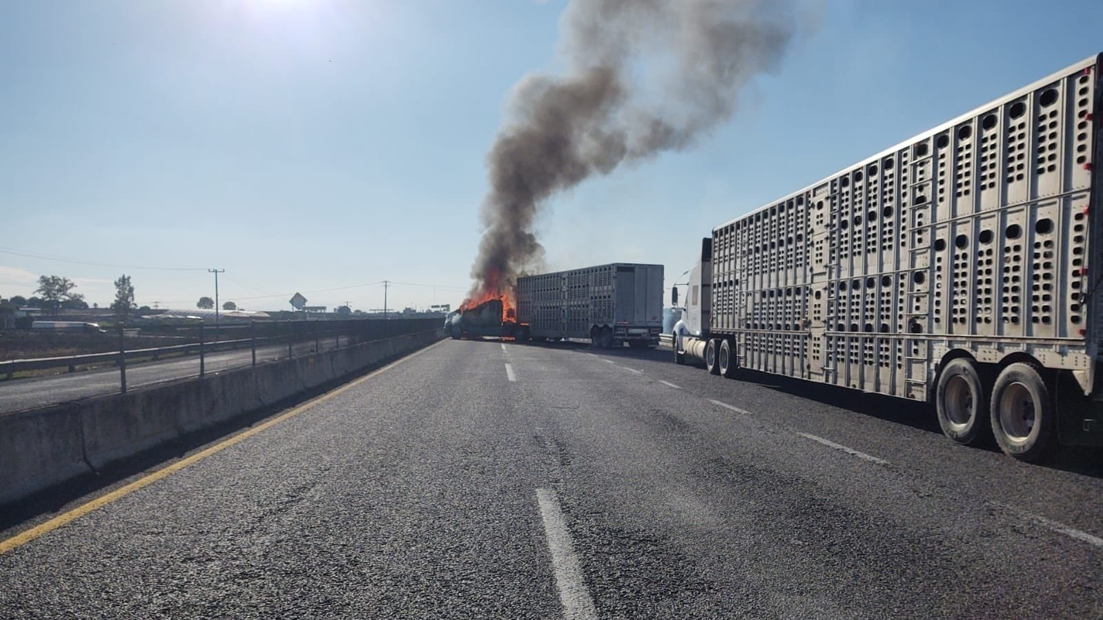 Enfrentamiento armado entre criminales y GN deja bloqueos y autos quemados en Jalisco