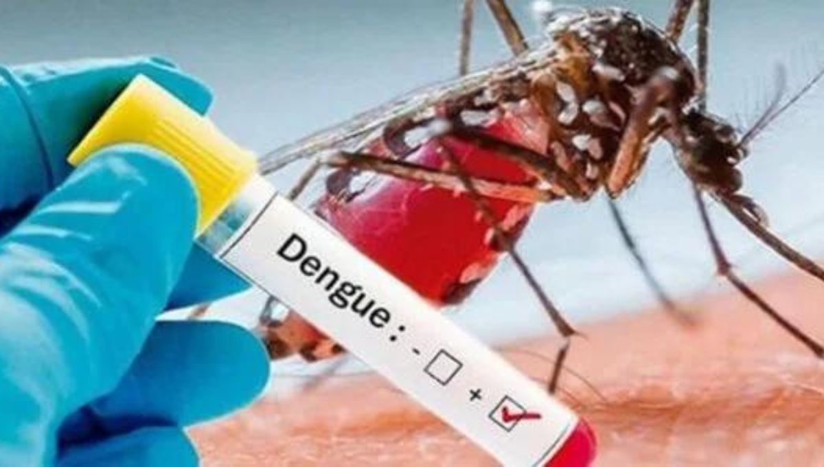 Quintana Roo en tercer lugar en casos de dengue y número de muertes a nivel nacional