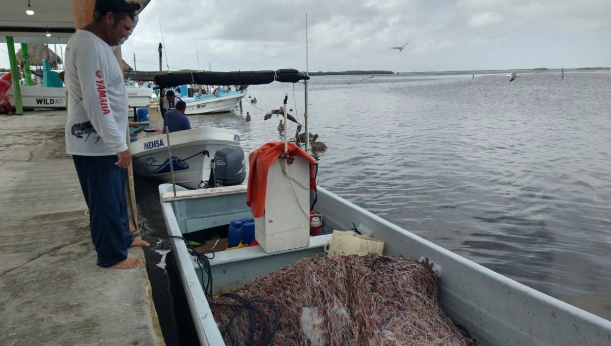 La sobreexplotación ha reducido la cantidad de peces que hay disponibles