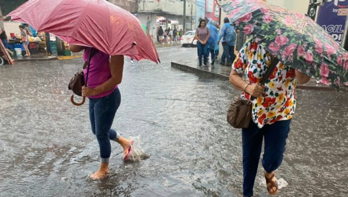 Clima en Mérida 29 de diciembre: Frente Frío número 20 ocasionará chubascos y lluvias fuertes