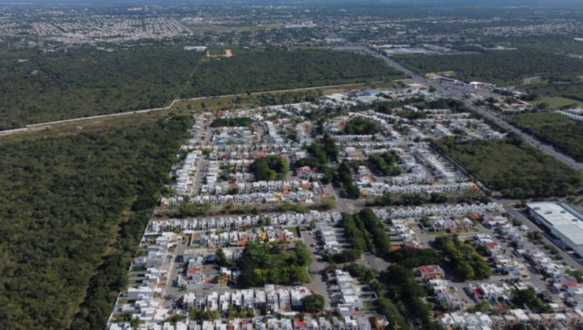 En 10 años, Mérida perdió cerca de mil hectáreas