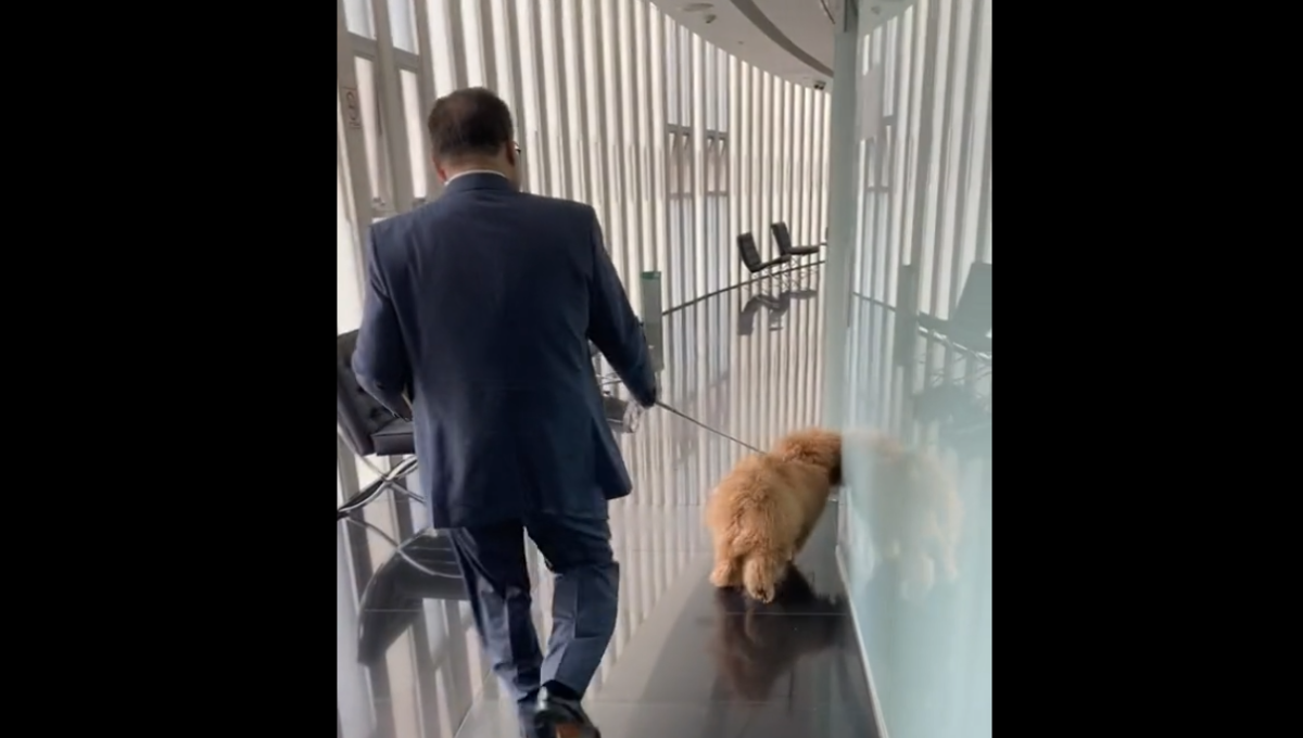 Jorge Carlos Ramírez Marín llega al Senado de la República con su nieto perruno: VIDEO