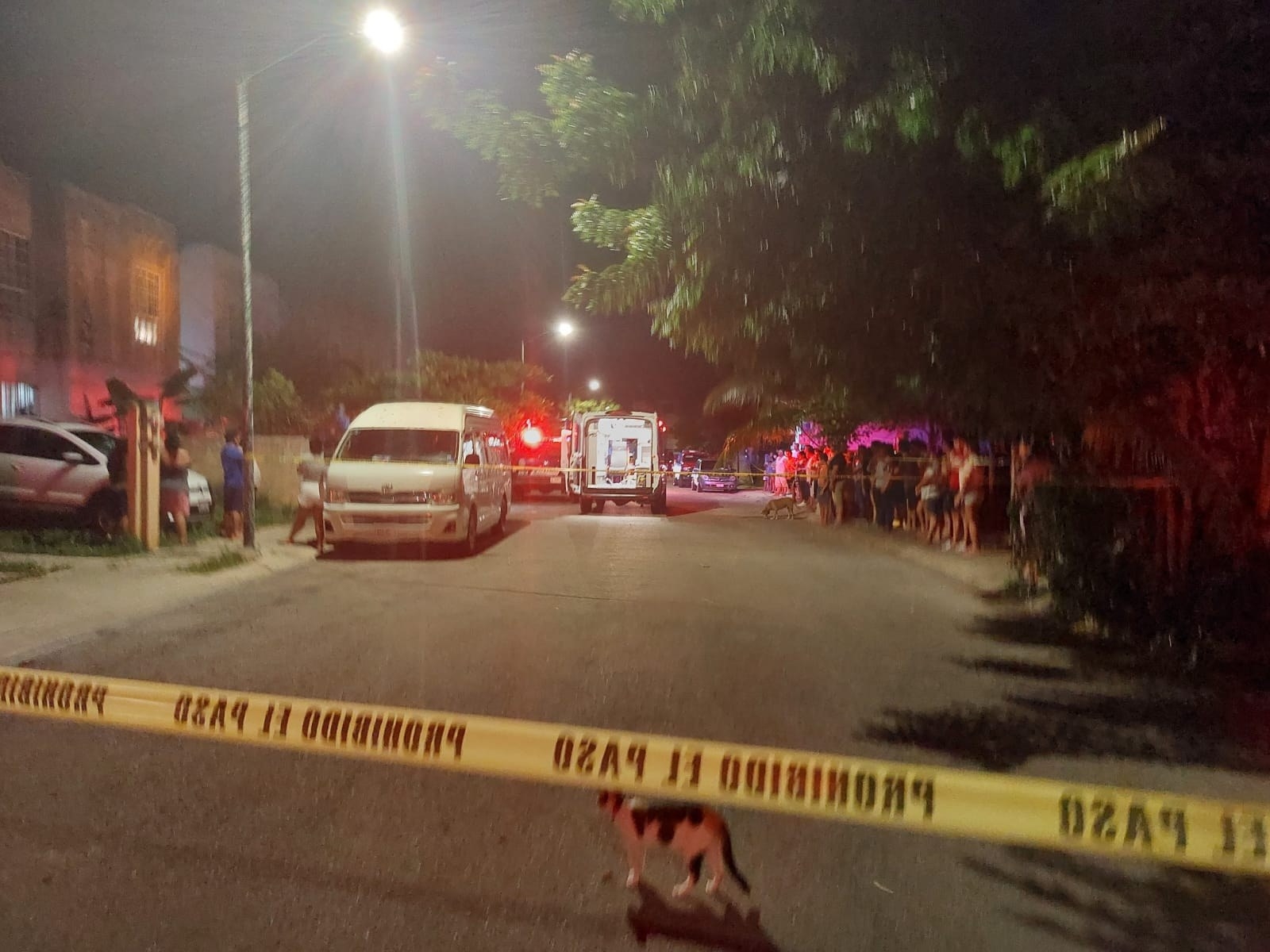 Playa del Carmen cierra enero con riñas, ejecutados y un multihomicidio