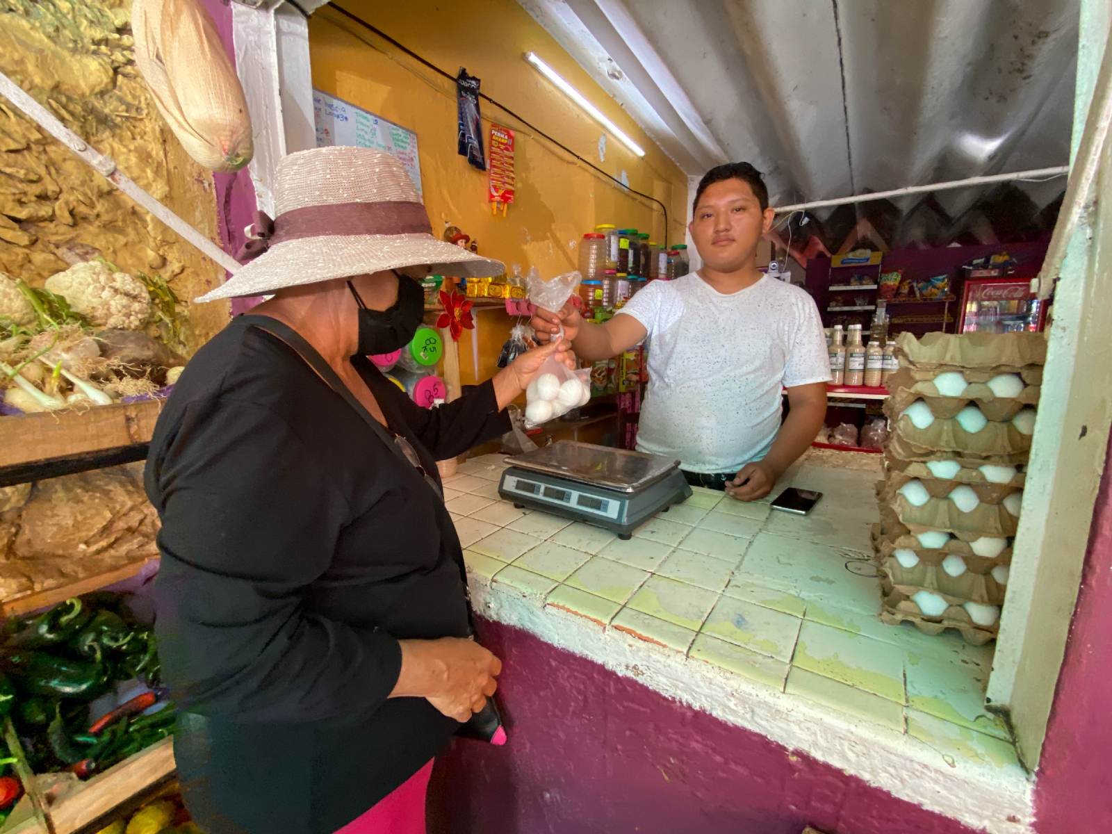 Yucatán, libre de gripe aviar; se retira la cuarentena