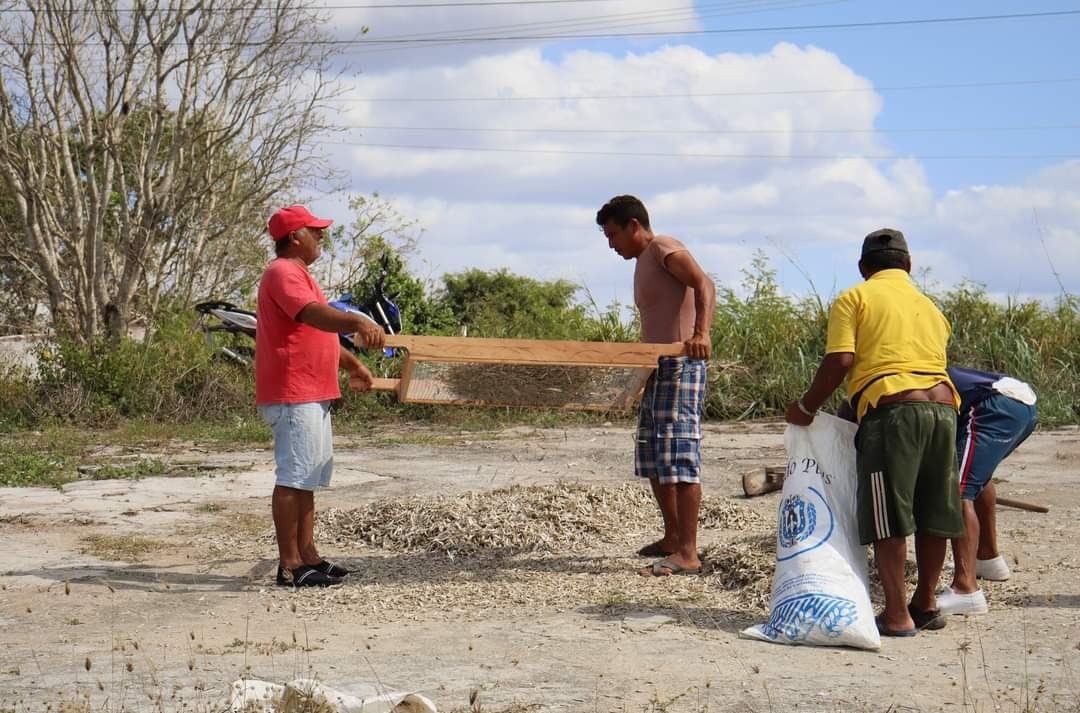 Entre enero y febrero deberían obtener los mayores volúmenes; sin embargo, ribereños exponen que la existencia del muelle y de plataformas reduce la producción