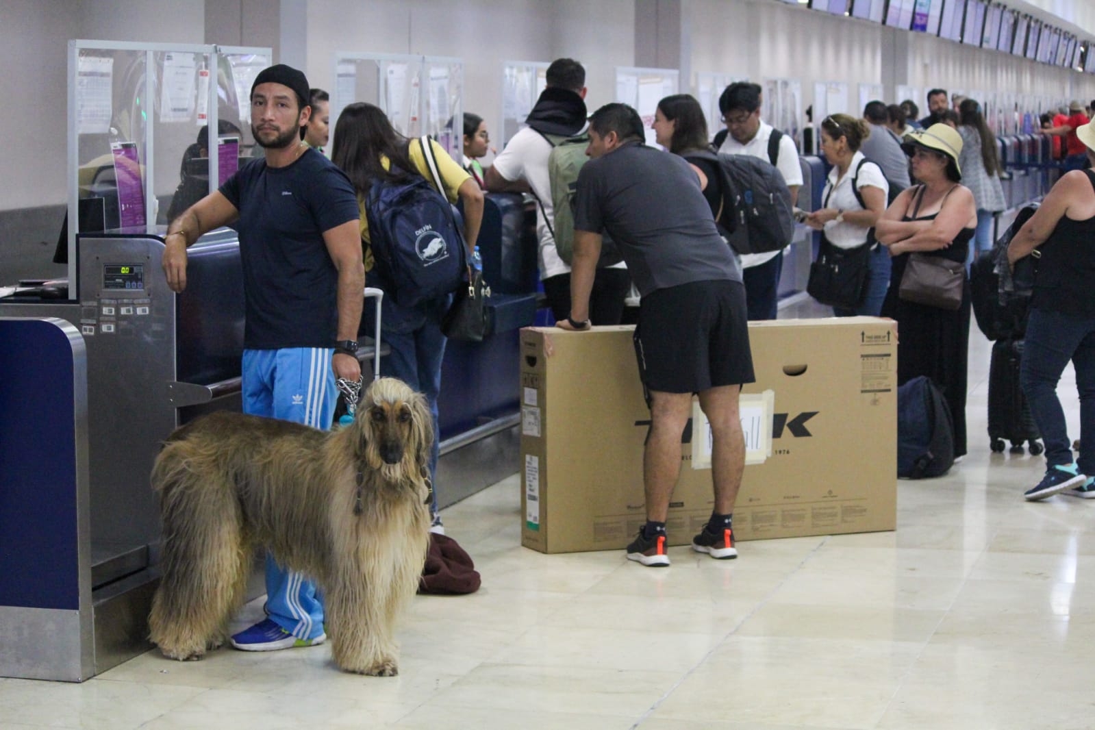 Frullham, Millo y Ally se encontraban en las inmediaciones del recinto aéreo