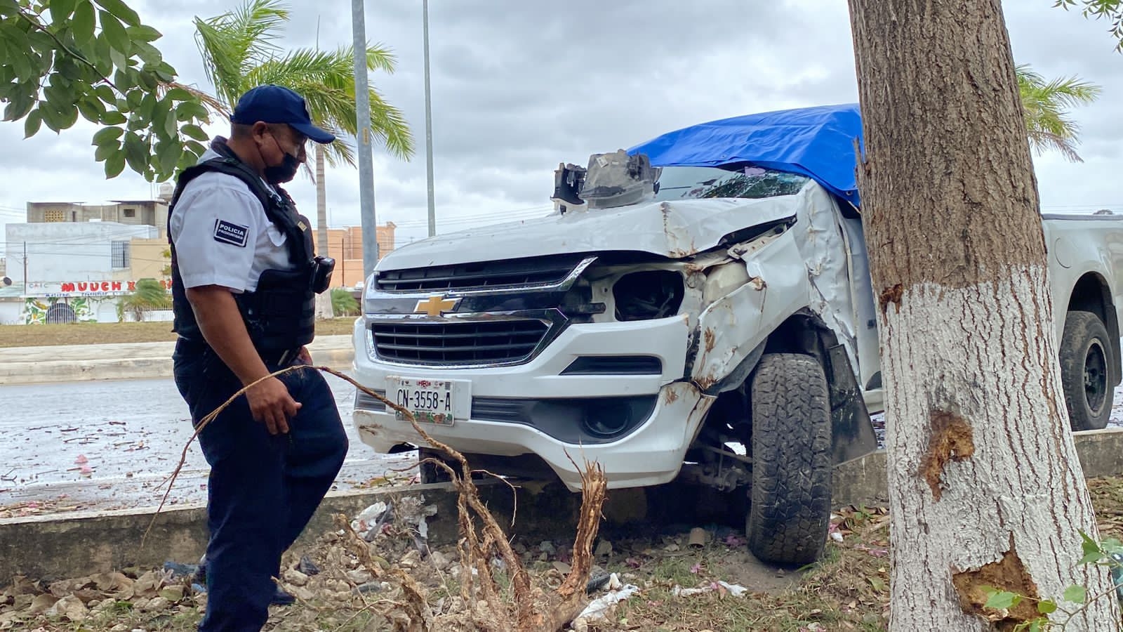 Conductor se estrella contra un árbol en la avenida Costera de Campeche