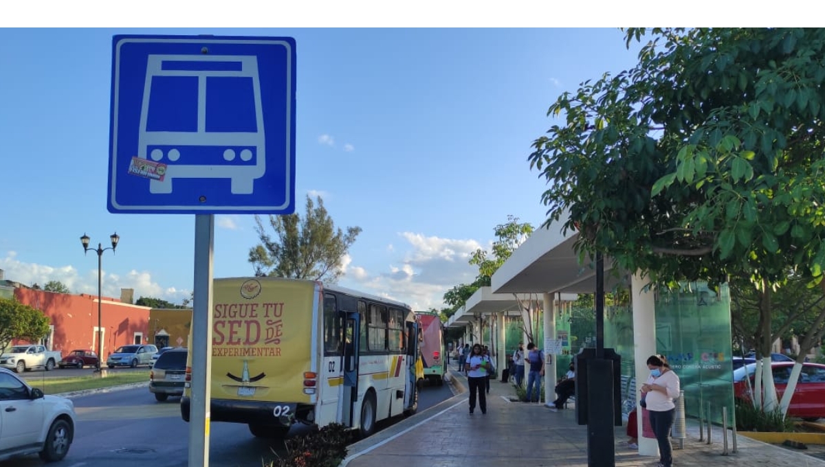 El último "viaje" que se realiza es a las nueve de la noche con salida desde el mercado principal Pedro Sáinz de Baranda.