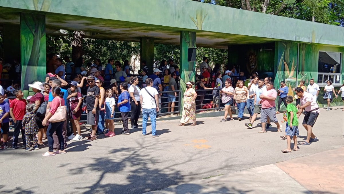 Las familias yucatecas prefieren ir al Carnaval