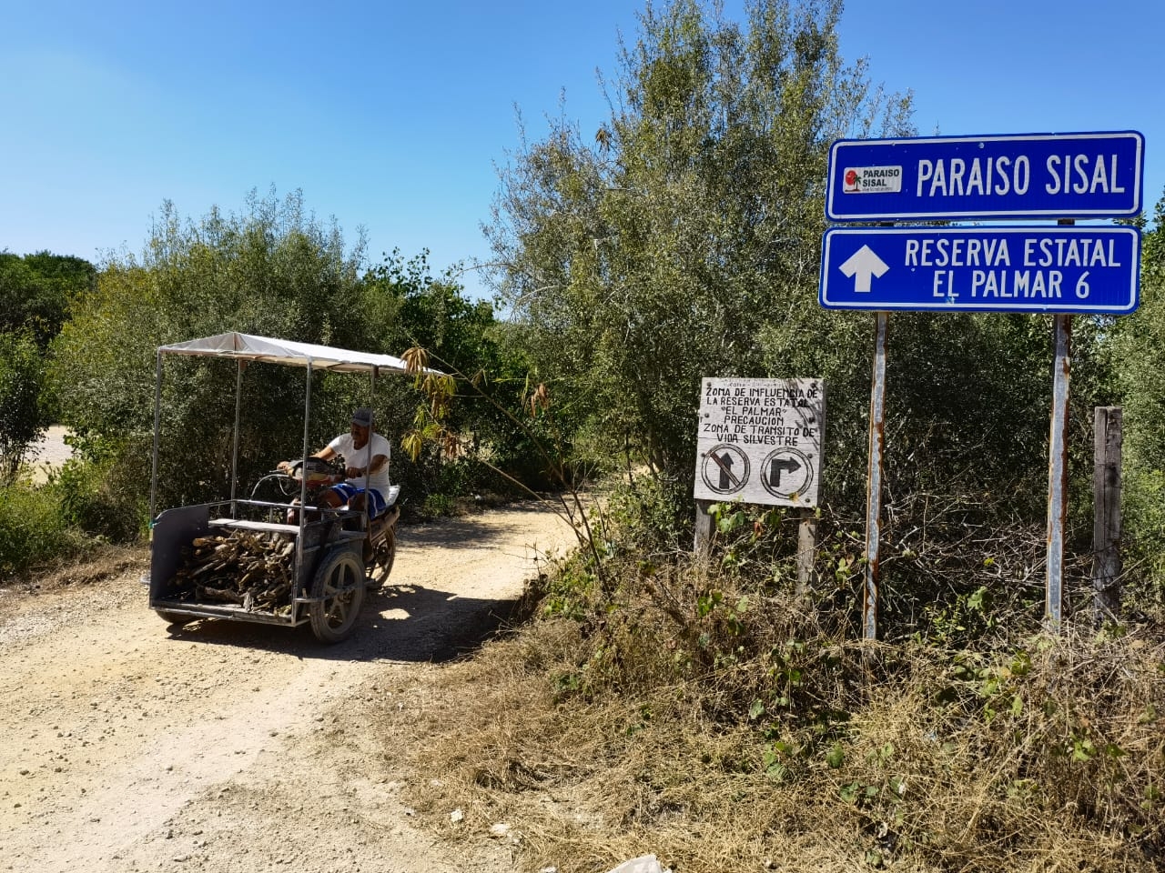 Paraíso Sisal: Semarnat negó la Manifestación de Impacto Ambiental desde 2006 por esta razón