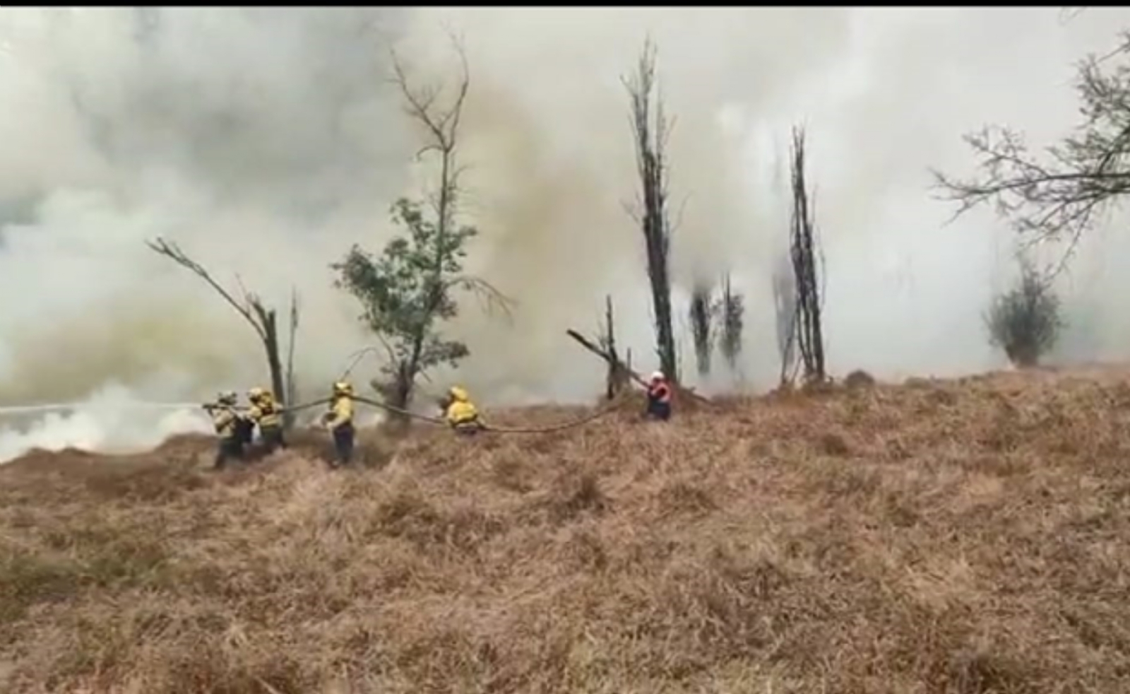 Incendio consume 10 hectáreas en Xochimilco